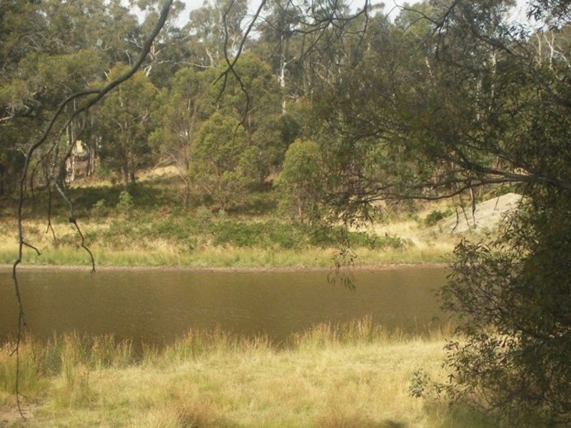 Photo - 357 Lancefield Tooborac Road, Lancefield VIC 3435 - Image 11