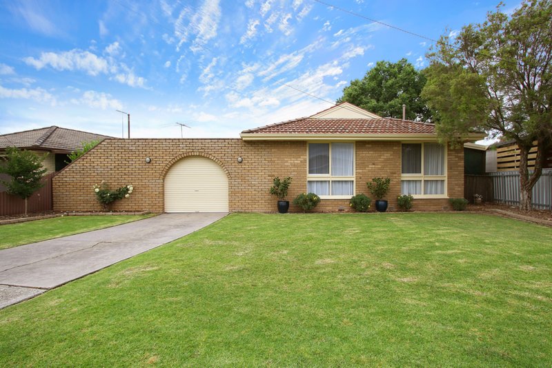 Photo - 359 Douglas Road, Lavington NSW 2641 - Image