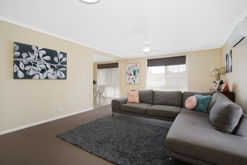 Photo - 359 Douglas Road, Lavington NSW 2641 - Image 4