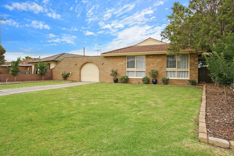 Photo - 359 Douglas Road, Lavington NSW 2641 - Image 12