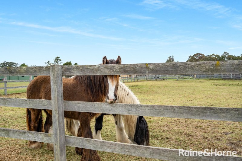 Photo - 359 Hames Road, Yerriyong NSW 2540 - Image 22