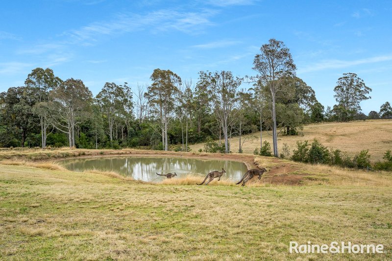 Photo - 359 Hames Road, Yerriyong NSW 2540 - Image 24