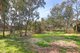 Photo - 35B Rowe Street, Mansfield VIC 3722 - Image 5