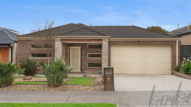 36 Ardsley Circuit, Craigieburn VIC 3064