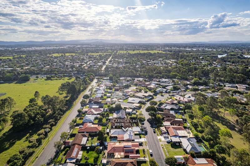 Photo - 36 Arnica Crescent, Bald Hills QLD 4036 - Image 24