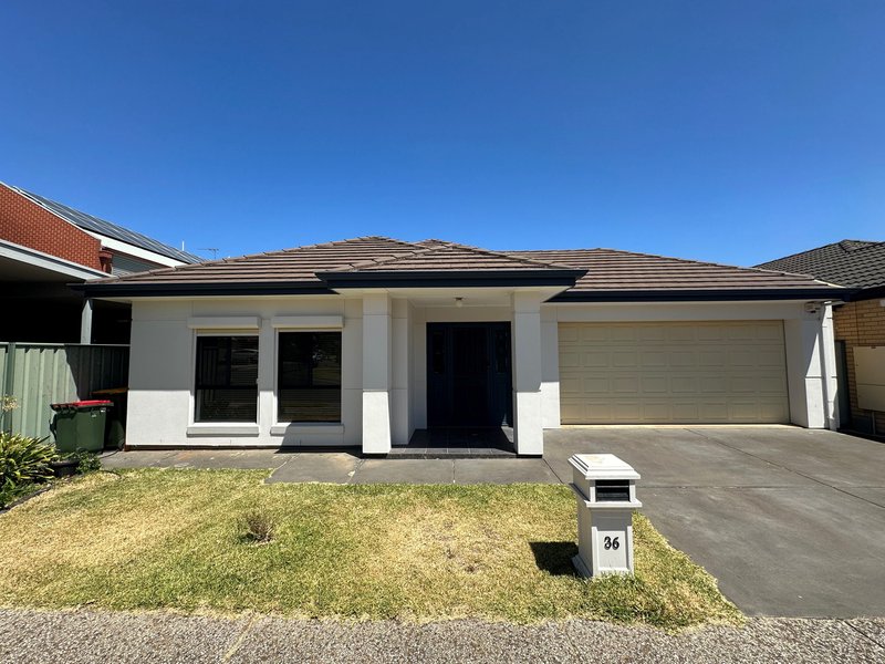 36 Ashwood Circuit, Mawson Lakes SA 5095