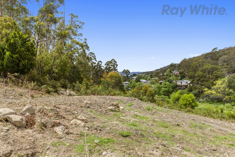 Photo - 36 Avon Road, South Hobart TAS 7004 - Image 6