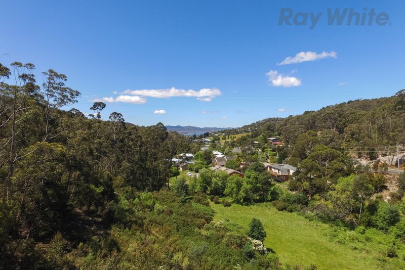 Photo - 36 Avon Road, South Hobart TAS 7004 - Image 7