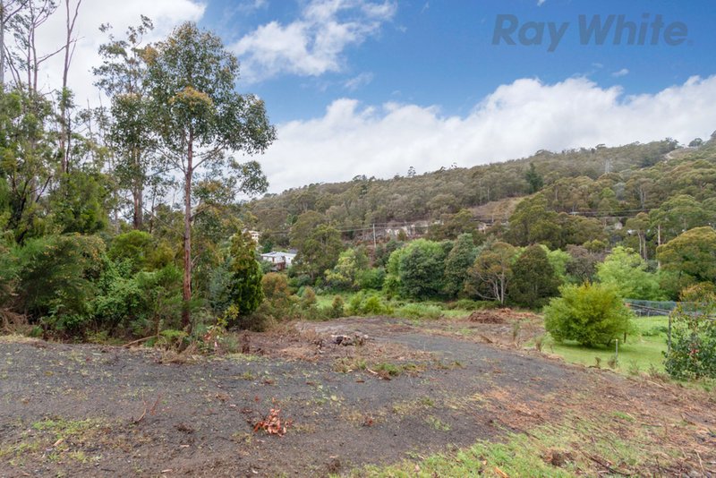 Photo - 36 Avon Road, South Hobart TAS 7004 - Image 9