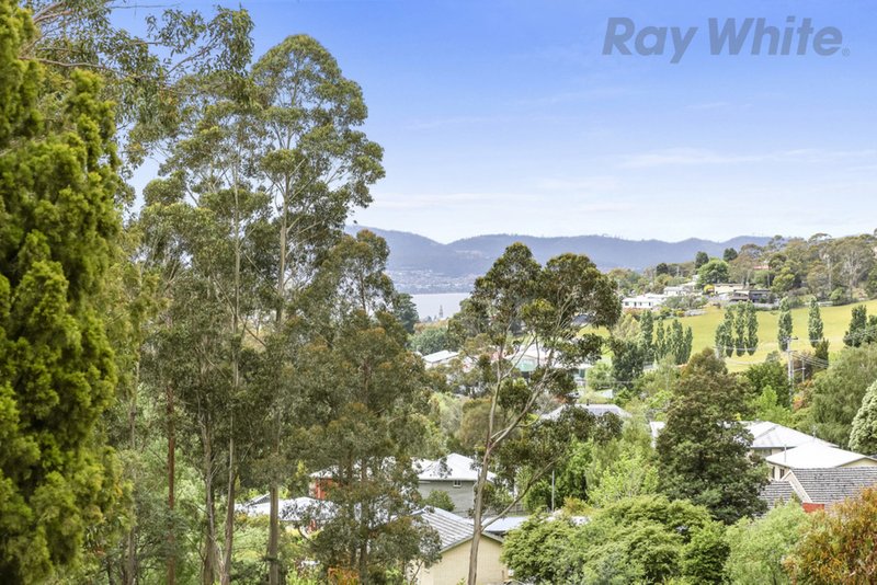 Photo - 36 Avon Road, South Hobart TAS 7004 - Image 12