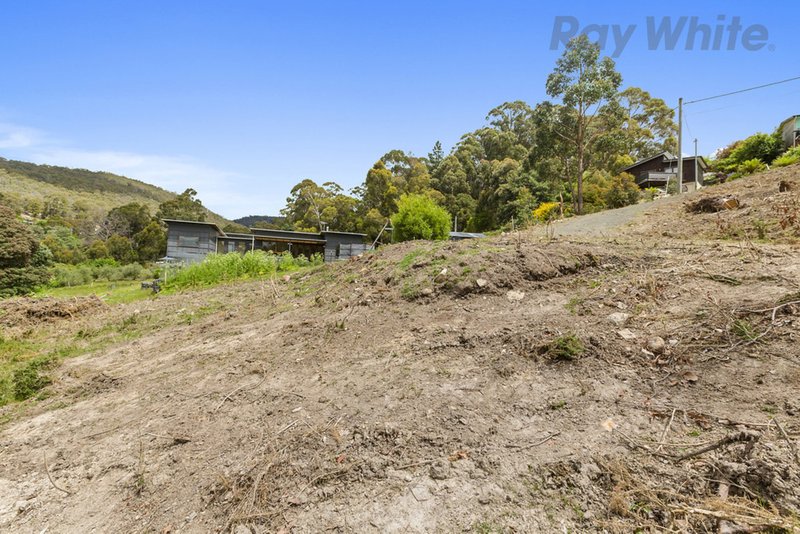 Photo - 36 Avon Road, South Hobart TAS 7004 - Image 14