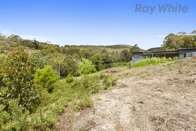 Photo - 36 Avon Road, South Hobart TAS 7004 - Image 15