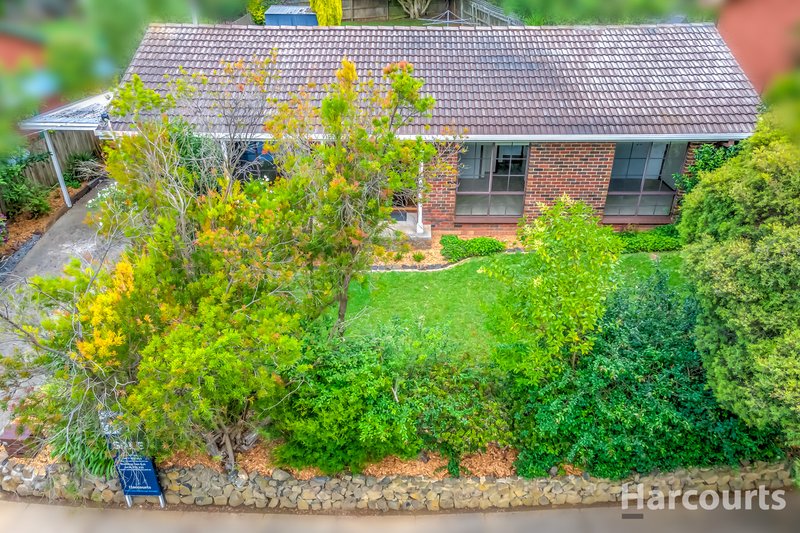 Photo - 36 Biram Drive, Warragul VIC 3820 - Image 16