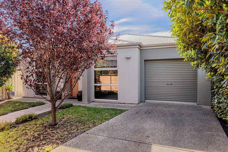 36 Birdwood Terrace, North Plympton SA 5037