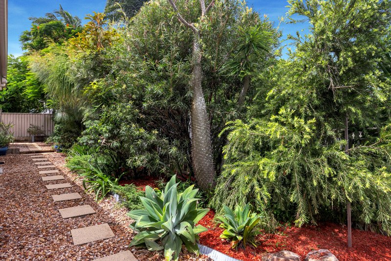 Photo - 36 Blackwood Street, Sherwood QLD 4075 - Image 10
