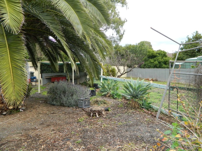 Photo - 36 Bright Terrace, Gawler East SA 5118 - Image 17