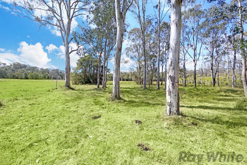 Photo - 36 Browns Road, Mandalong NSW 2264 - Image 11