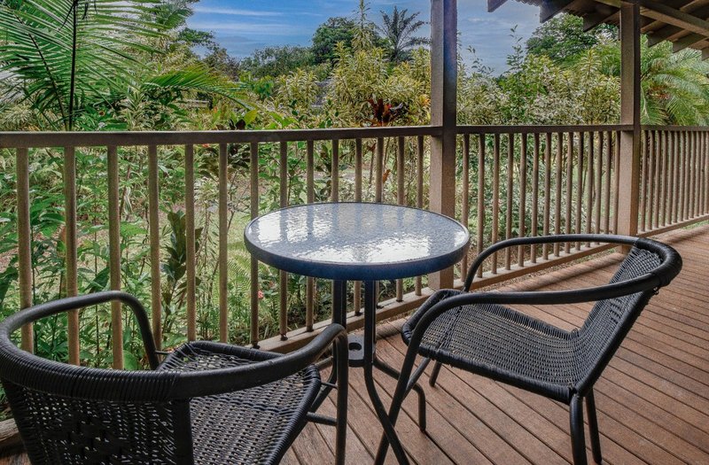 Photo - 36 Camelot Close, Cape Tribulation QLD 4873 - Image 10