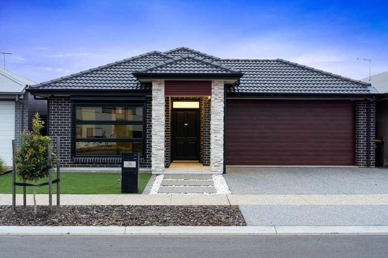 36 Charlie Street, Angle Vale SA 5117