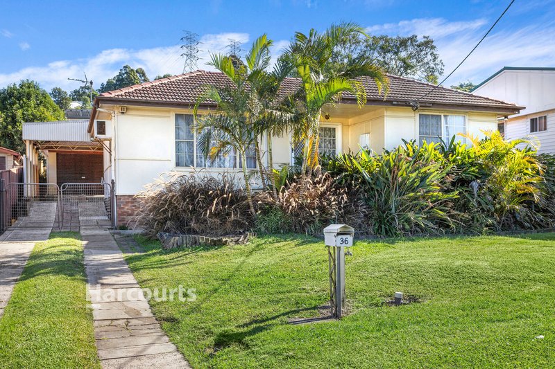 36 Cheshire Street, Berkeley NSW 2506