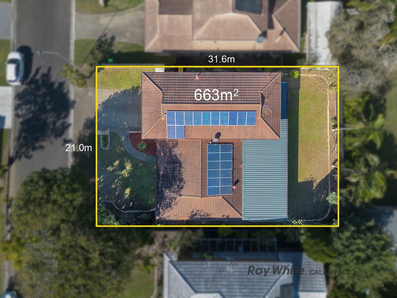 Photo - 36 Cleveland Place, Stretton QLD 4116 - Image 19