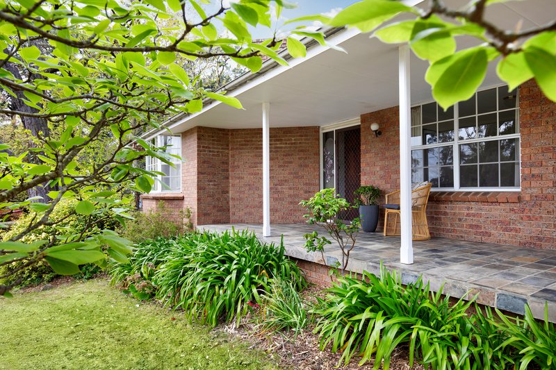 Photo - 36 Cliff Drive, Katoomba NSW 2780 - Image 14