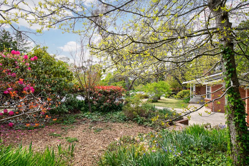 Photo - 36 Cliff Drive, Katoomba NSW 2780 - Image 16