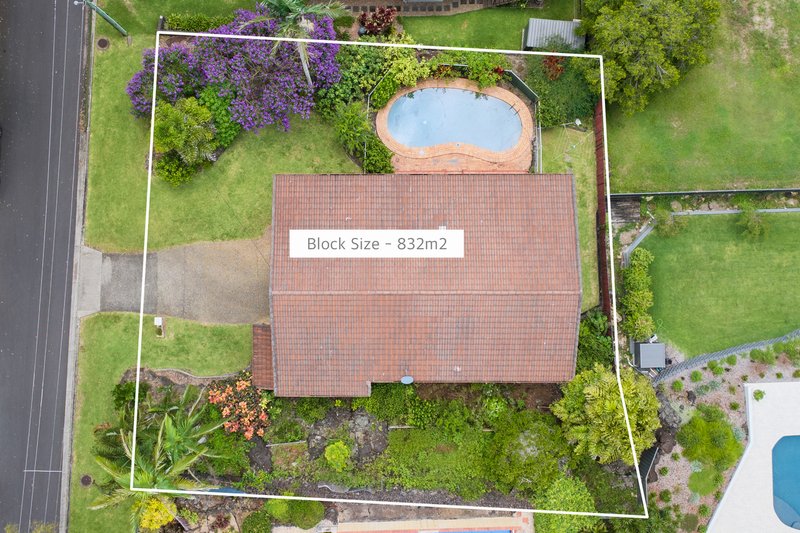 Photo - 36 Coolum View Terrace, Buderim QLD 4556 - Image 12