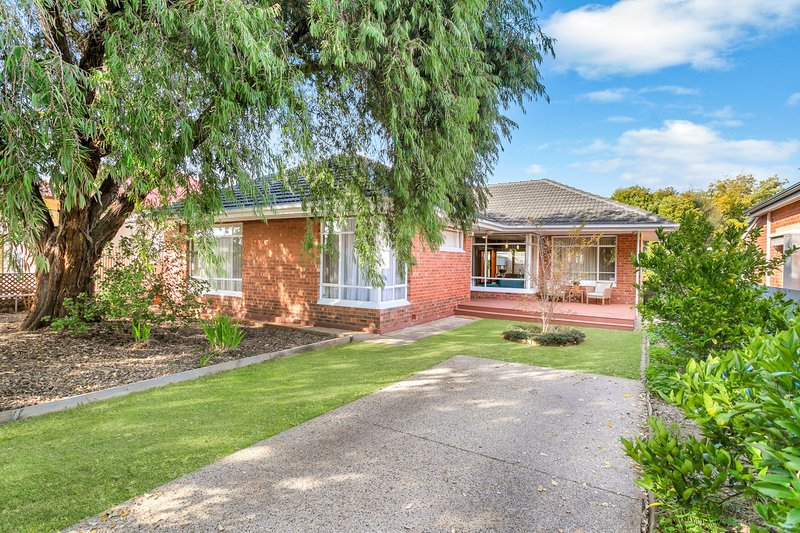 Photo - 36 Dinwoodie Avenue, Clarence Gardens SA 5039 - Image 16