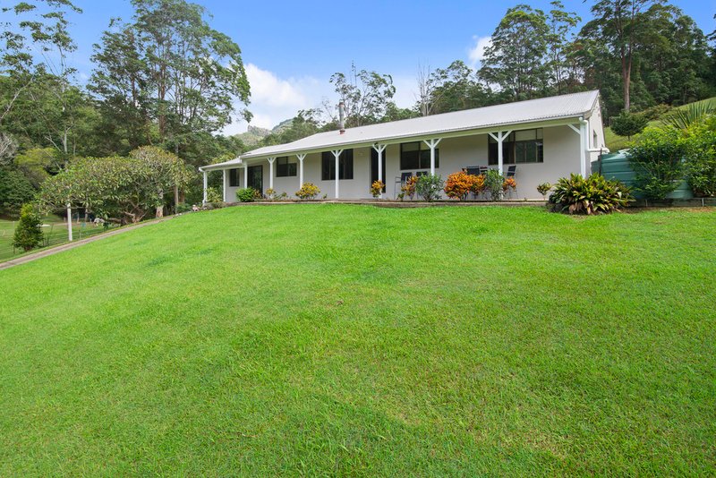 Photo - 36 Dove Road, Tallebudgera Valley QLD 4228 - Image 3