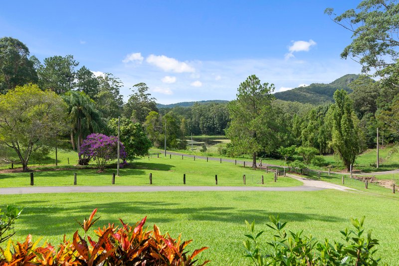 Photo - 36 Dove Road, Tallebudgera Valley QLD 4228 - Image 11