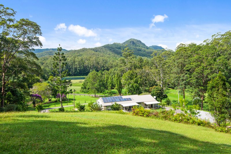 Photo - 36 Dove Road, Tallebudgera Valley QLD 4228 - Image 15