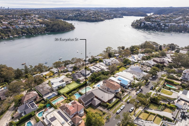 Photo - 36 Euryalus Street, Mosman NSW 2088 - Image 17