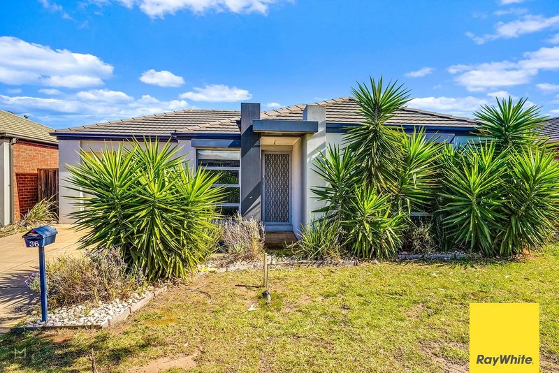 36 Felicity Drive, Tarneit VIC 3029