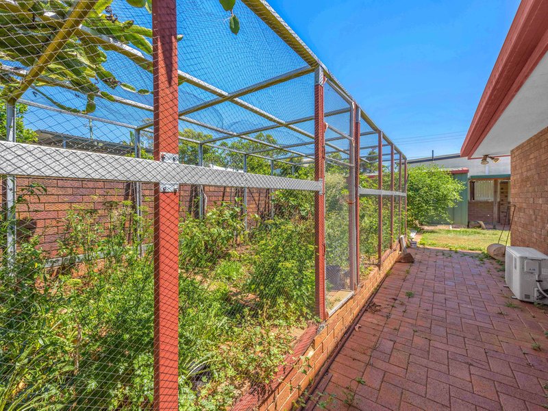 Photo - 36 Helena Street, Aspley QLD 4034 - Image 16