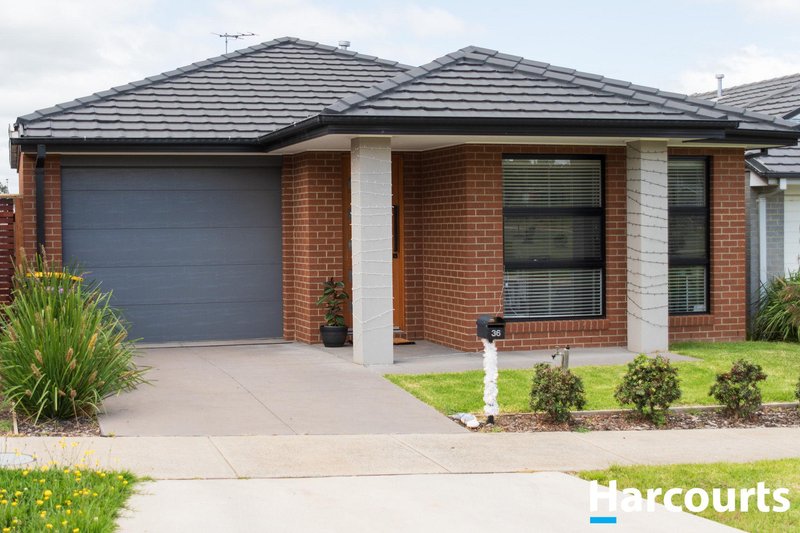 36 Horsetail Way, Drouin VIC 3818