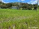 Photo - 36 James Street, Cooran QLD 4569 - Image 2