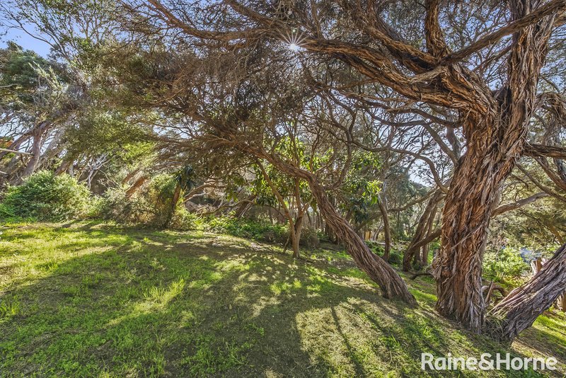 Photo - 36 Kanburra Street, Rye VIC 3941 - Image 10