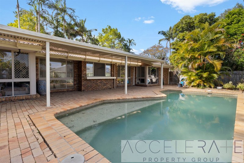 Photo - 36 Limosa Street, Bellbowrie QLD 4070 - Image 3