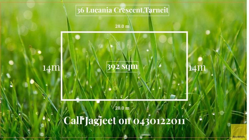Photo - 36 Lucania Crescent, Tarneit VIC 3029 - Image 1