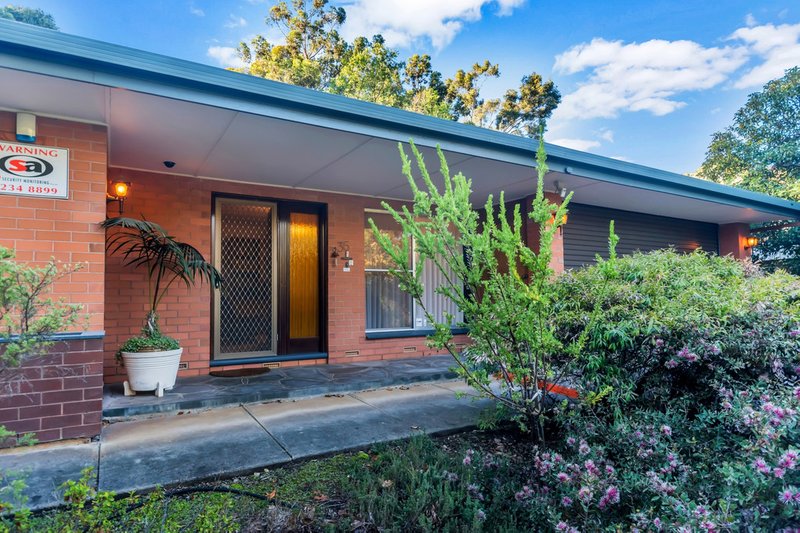 Photo - 36 Meadow Avenue, Hawthorndene SA 5051 - Image 17