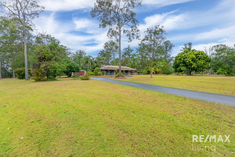 Photo - 36 Mimosa Street, Woodford QLD 4514 - Image 6