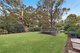 Photo - 36 Murdoch Street, Turramurra NSW 2074 - Image 8