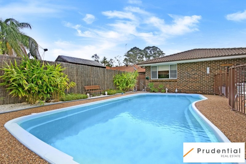 Photo - 36 Newtown Road, Glenfield NSW 2167 - Image 10