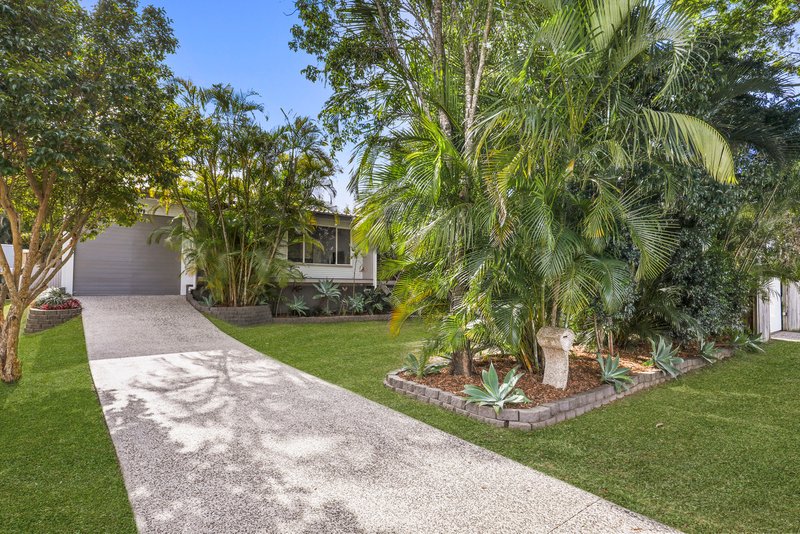 Photo - 36 Orient Road, Yeronga QLD 4104 - Image 2