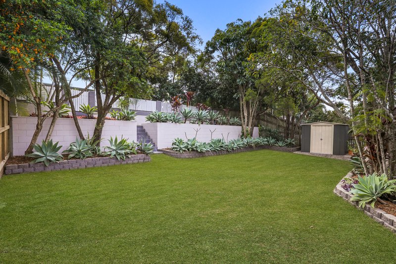 Photo - 36 Orient Road, Yeronga QLD 4104 - Image 15