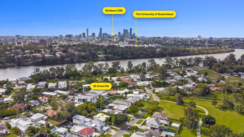 Photo - 36 Orient Road, Yeronga QLD 4104 - Image 20