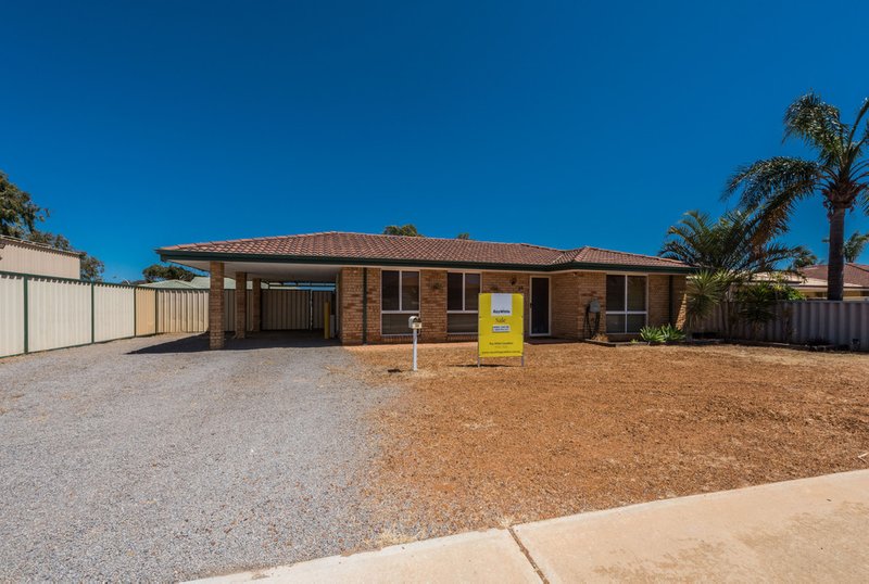 36 Pinyali Way, Waggrakine WA 6530