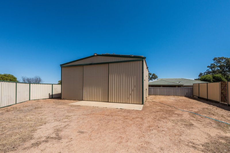 Photo - 36 Pinyali Way, Waggrakine WA 6530 - Image 14