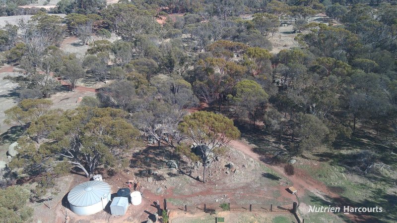 Photo - 36 Quigley Street, Narrogin WA 6312 - Image 3